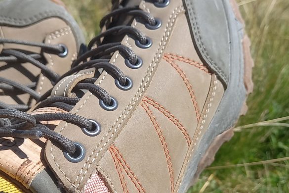 Doghammer Guide Rock Vegan WP