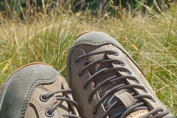 Doghammer Guide Rock Vegan WP