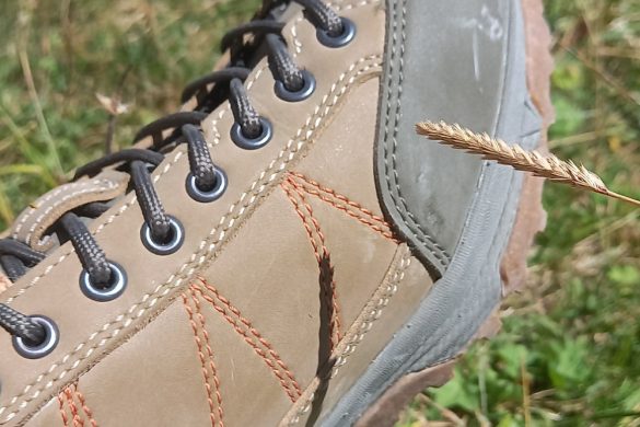 Doghammer Guide Rock Vegan WP