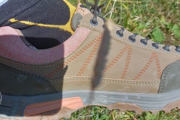 Doghammer Guide Rock Vegan WP