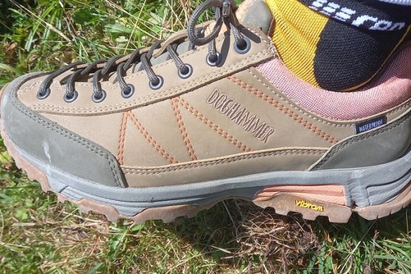 Doghammer Guide Rock Vegan WP