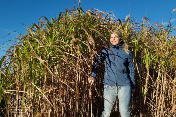 Elkline Say Yes Fleecejacke