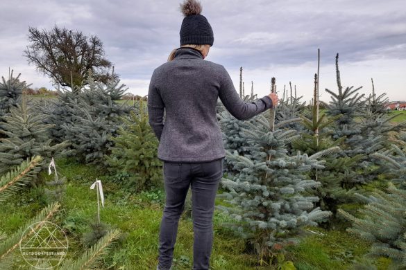 Giesswein Sina Merino Jacke