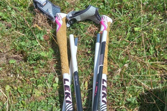 LEKI  Cross Trail FX Superlite