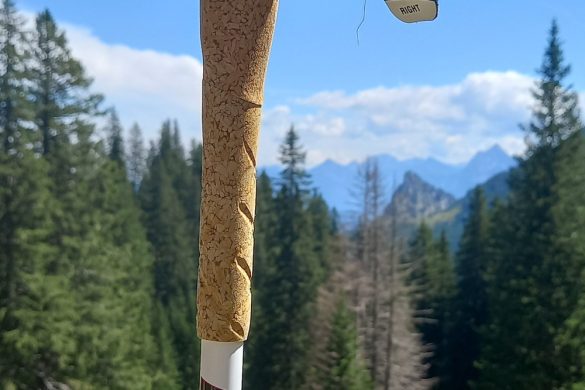 LEKI  Cross Trail FX Superlite