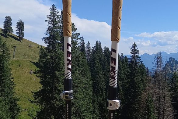 LEKI  Cross Trail FX Superlite