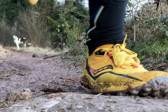 Saucony Peregrine 12 Trailrunningschuhe