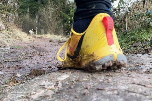 Saucony Peregrine 12 Trailrunningschuhe