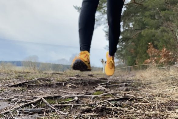 Saucony Peregrine 12 Trailrunningschuhe