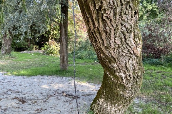 Ticket To The Moon Original Pro Hängematte