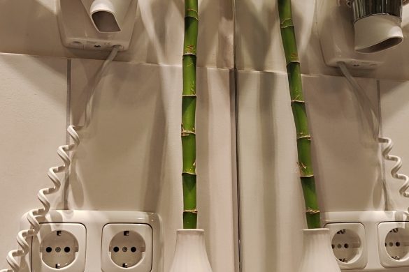 Reisebericht: Das Kaiserblick****SUPERIOR