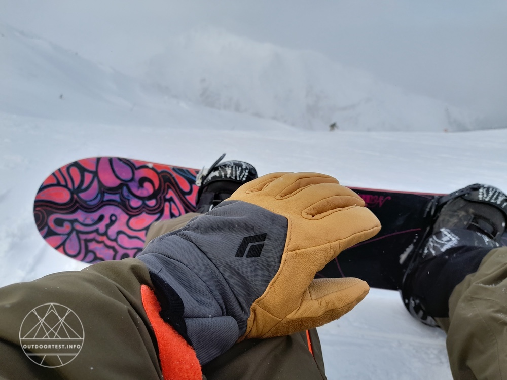 Black Diamond Women's Legend Gloves