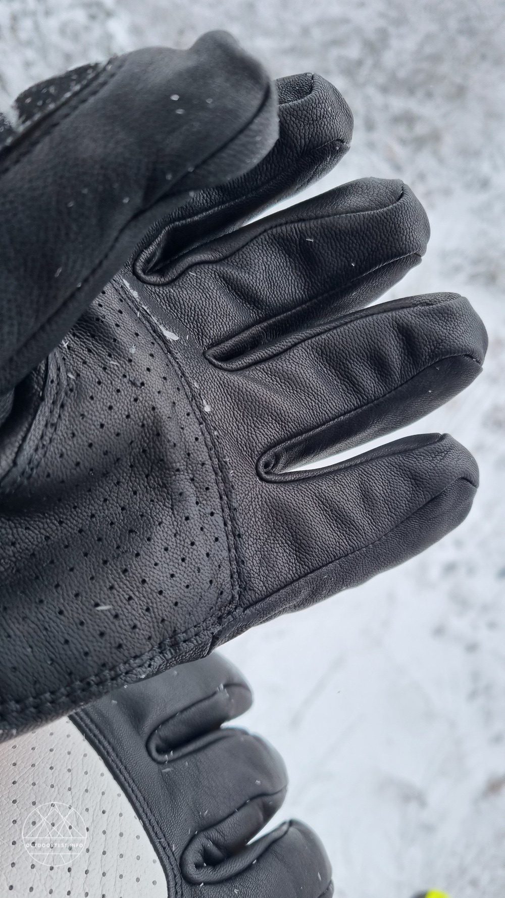 Black Diamond Impulse Gloves