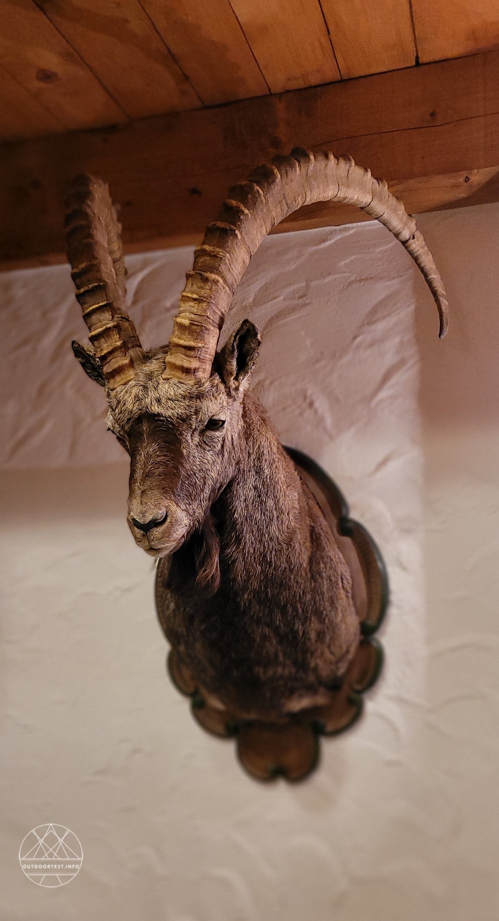 Reisebericht - Naturdorf Oberkühnreit