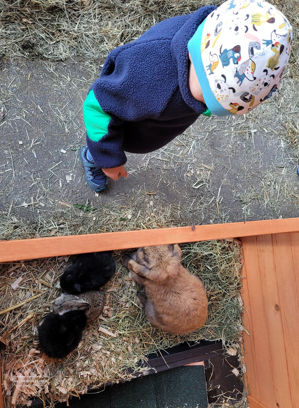 Reisebericht - Naturdorf Oberkühnreit