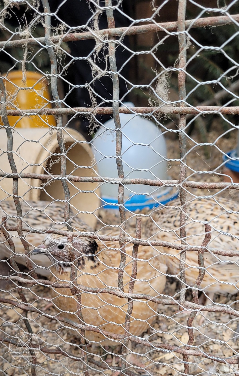 Reisebericht - Naturdorf Oberkühnreit