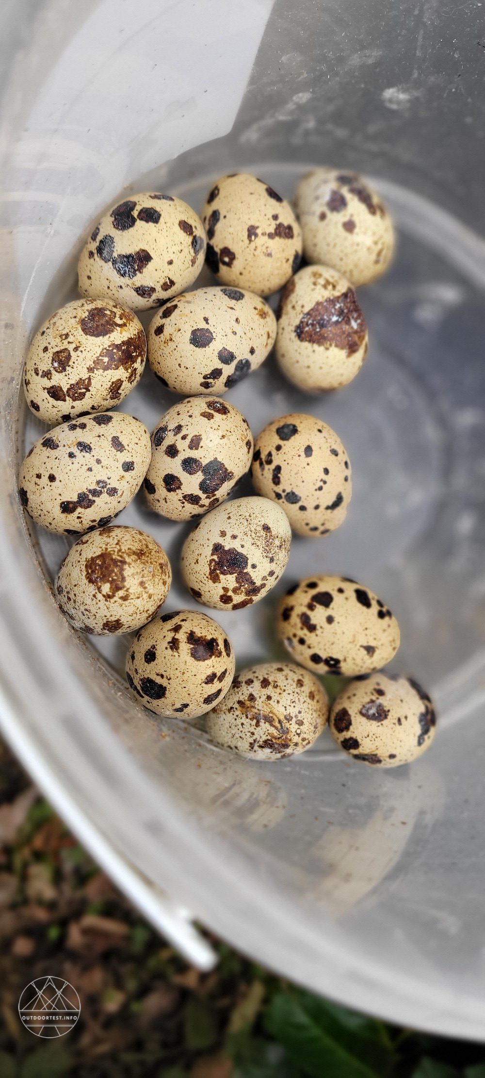 Reisebericht - Naturdorf Oberkühnreit