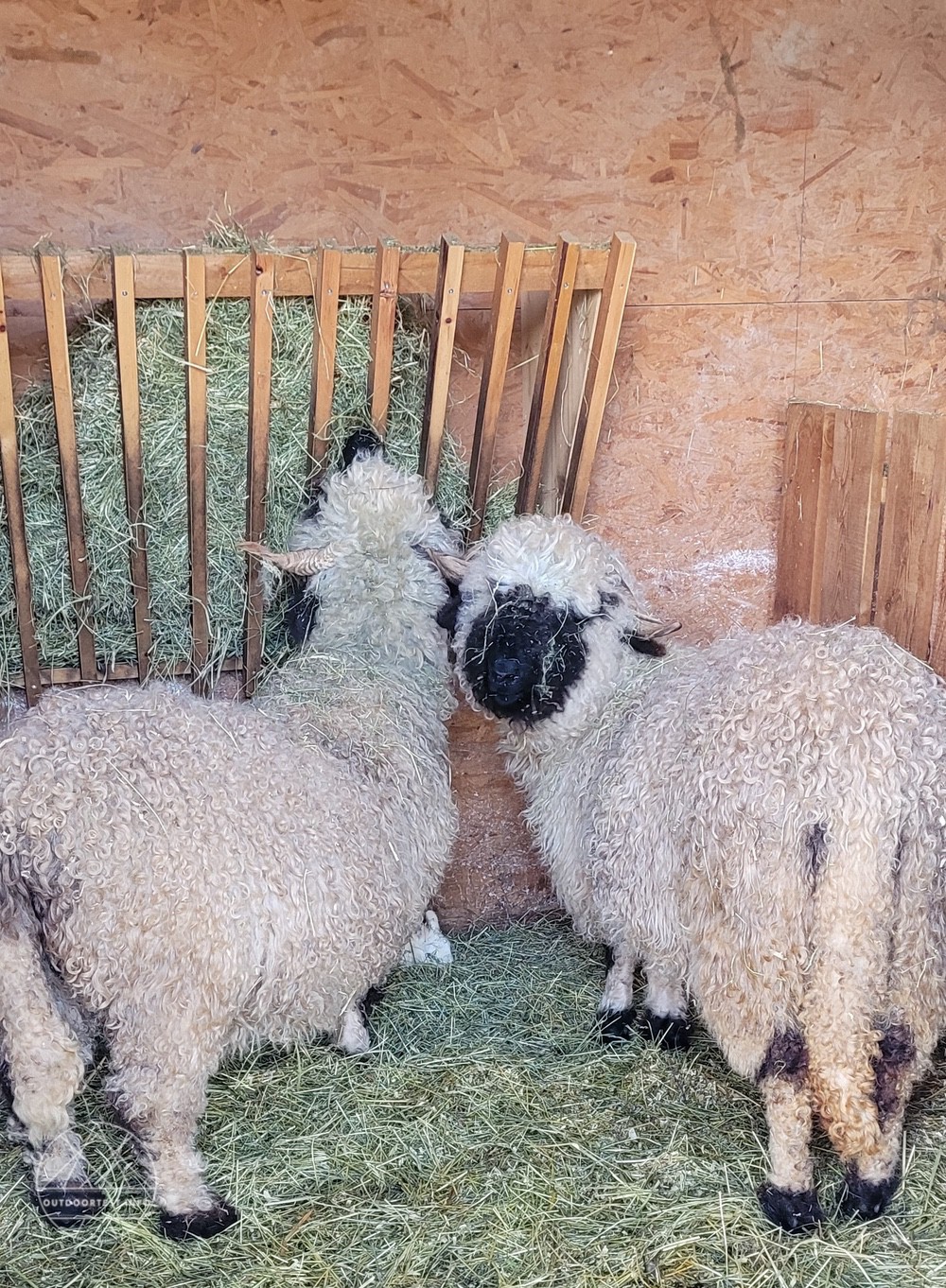 Reisebericht - Naturdorf Oberkühnreit