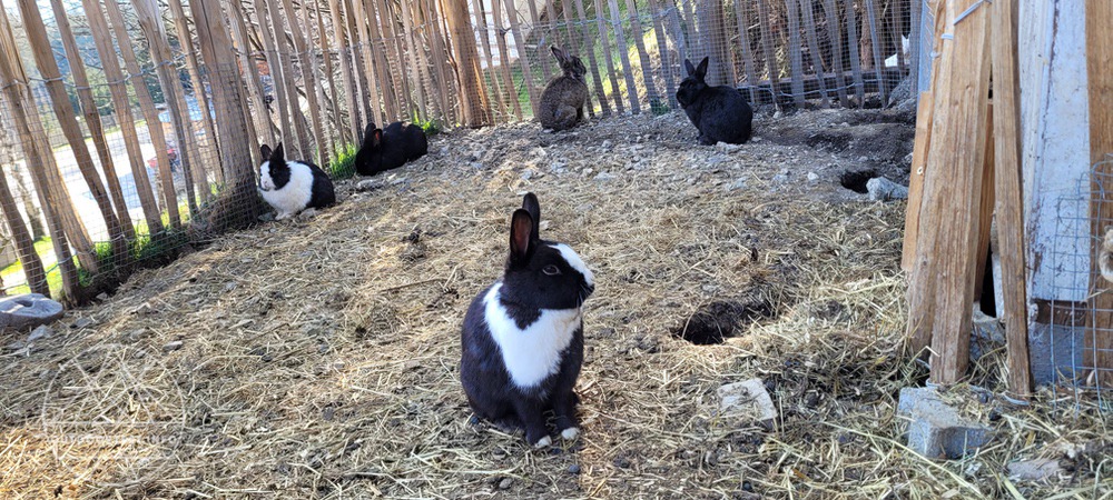 Reisebericht - Naturdorf Oberkühnreit