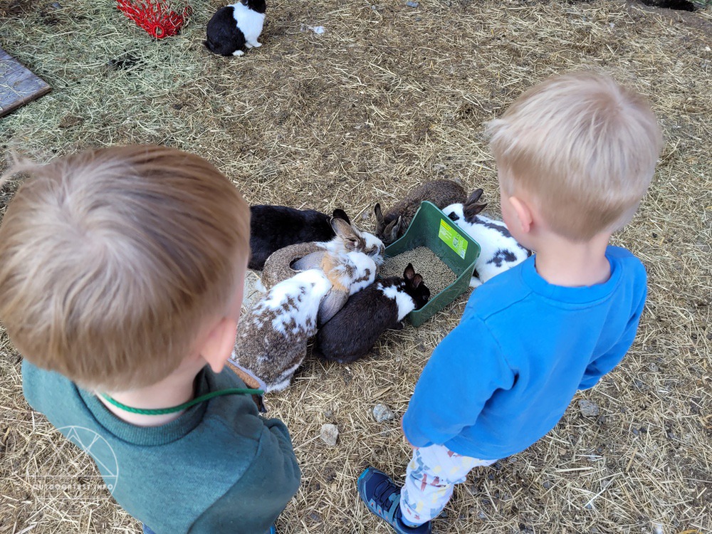 Reisebericht - Naturdorf Oberkühnreit