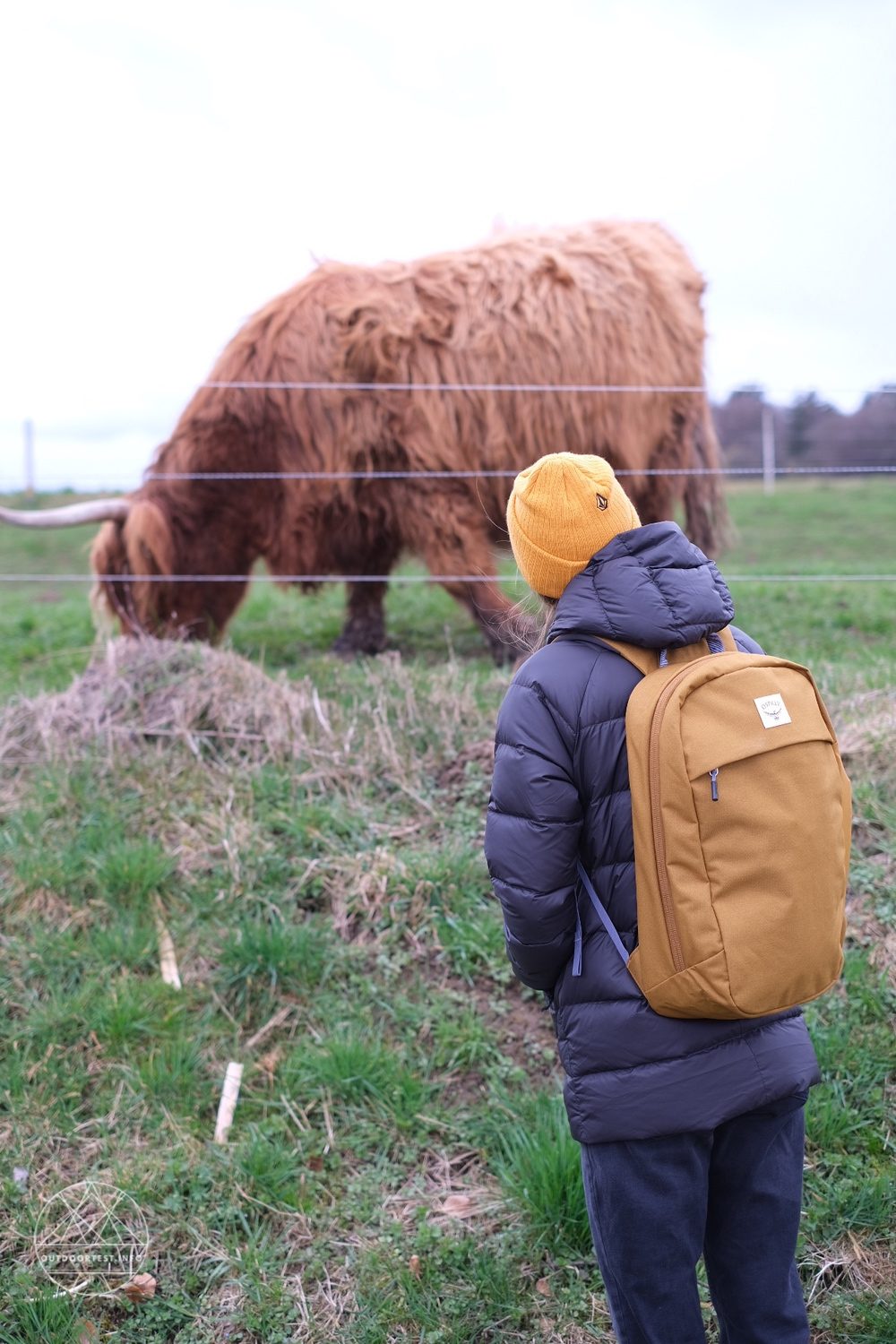 Osprey Arcane Large Day