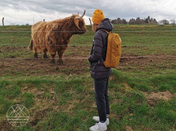 Osprey Arcane Large Day