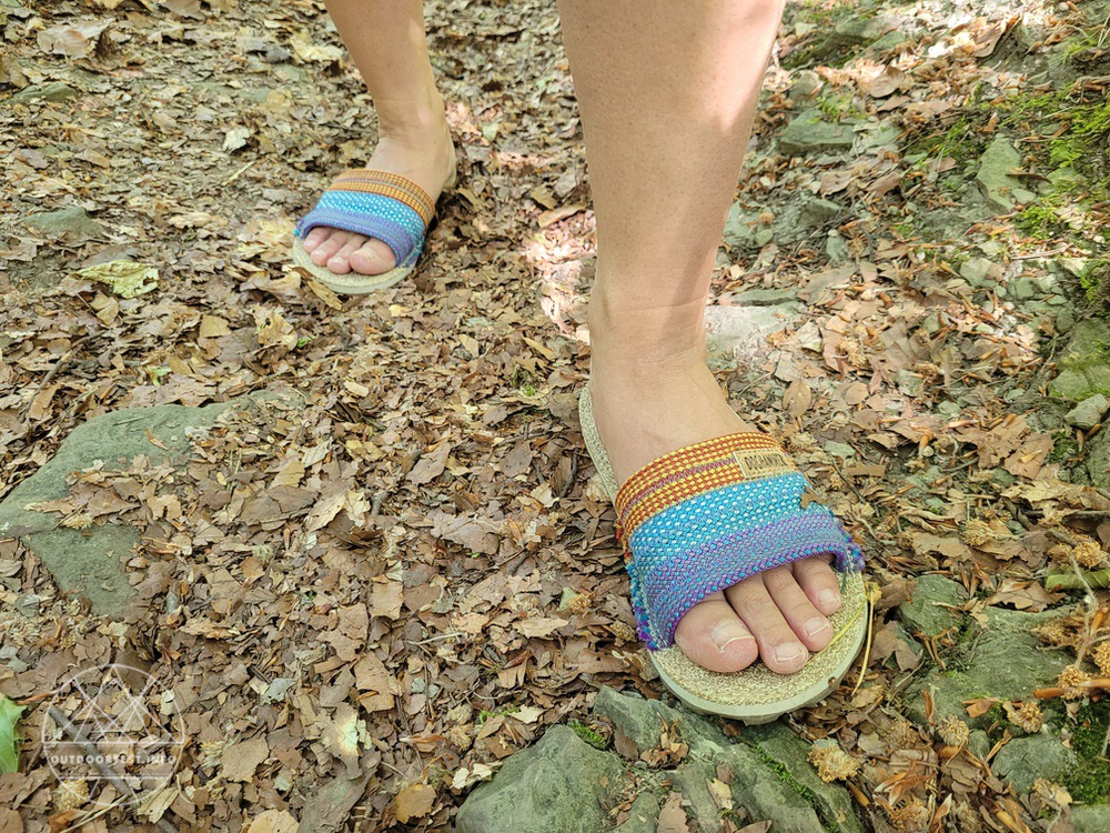 Doghammer Dog2Go Newseed