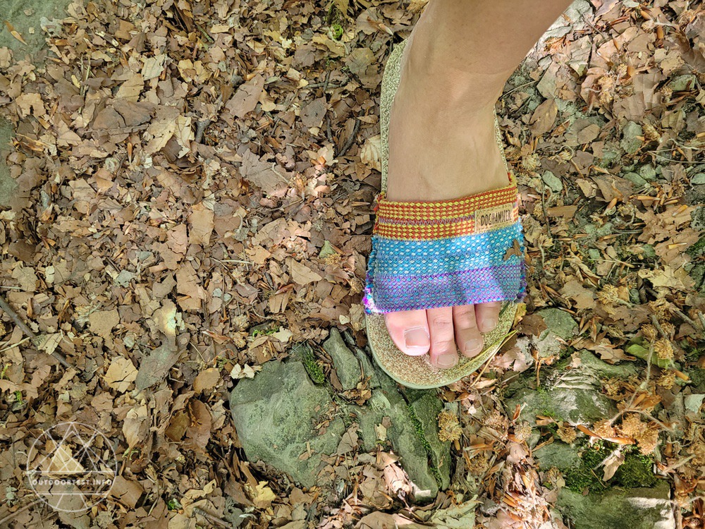 Doghammer Dog2Go Newseed