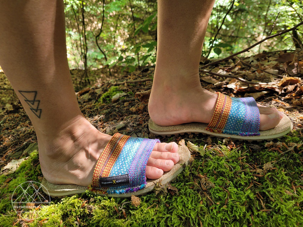 Doghammer Dog2Go Newseed