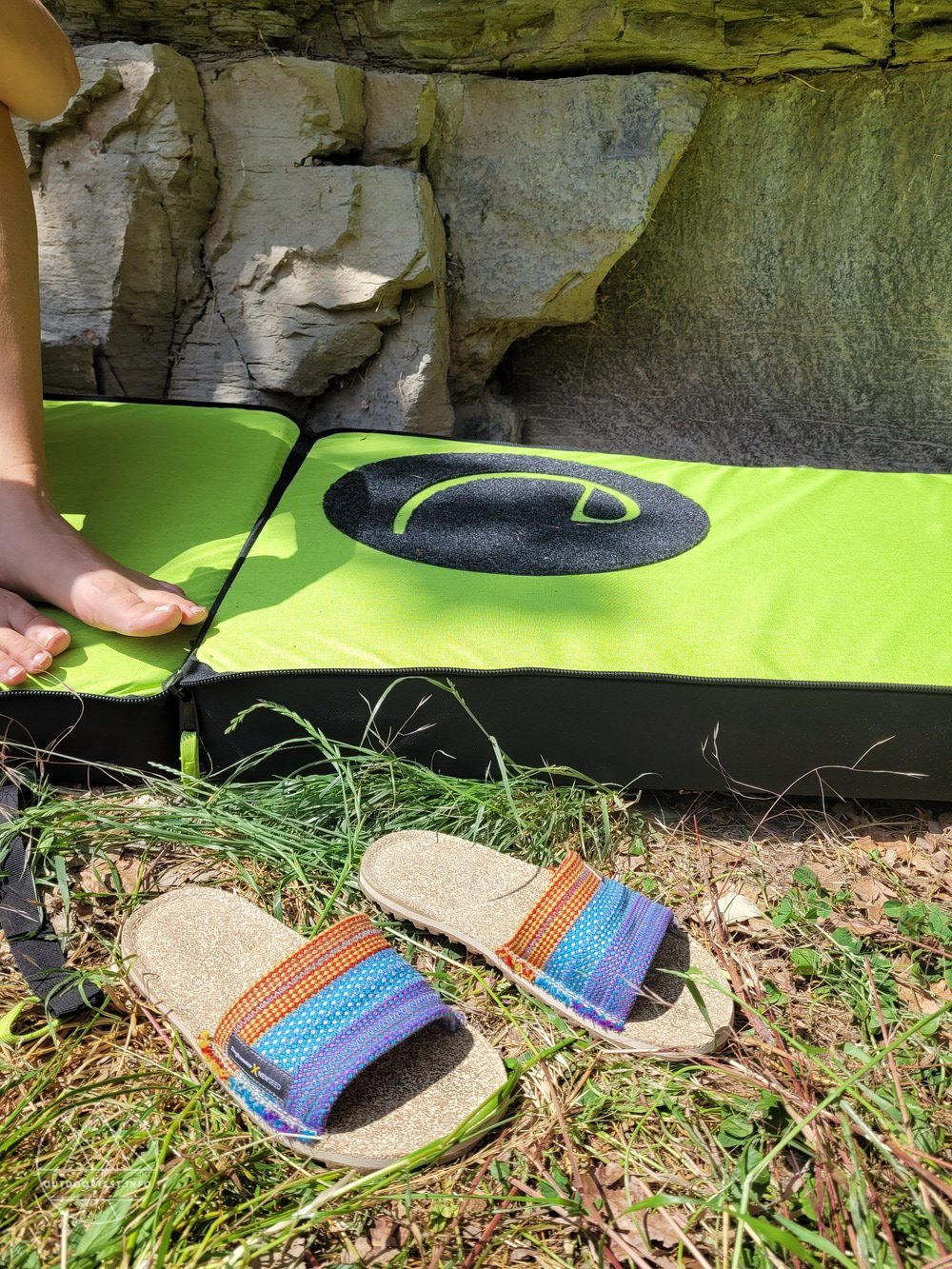 Doghammer Dog2Go Newseed