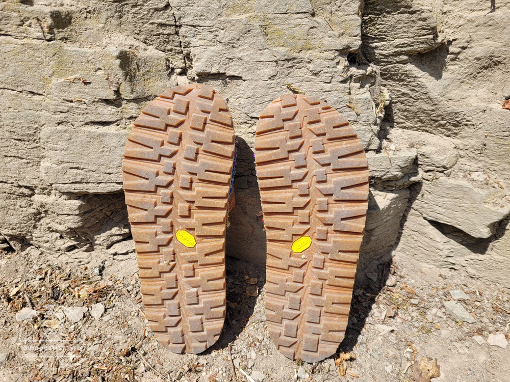 Doghammer Dog2Go Newseed