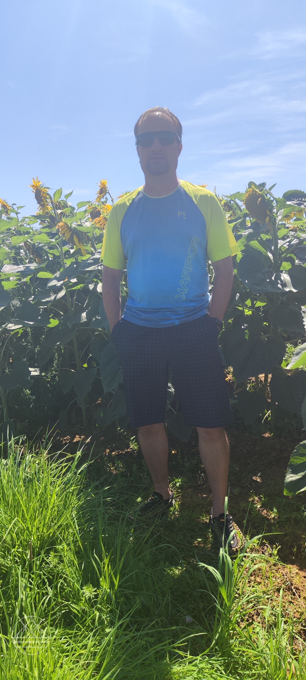 Smartwool 10" Shorts für Herren