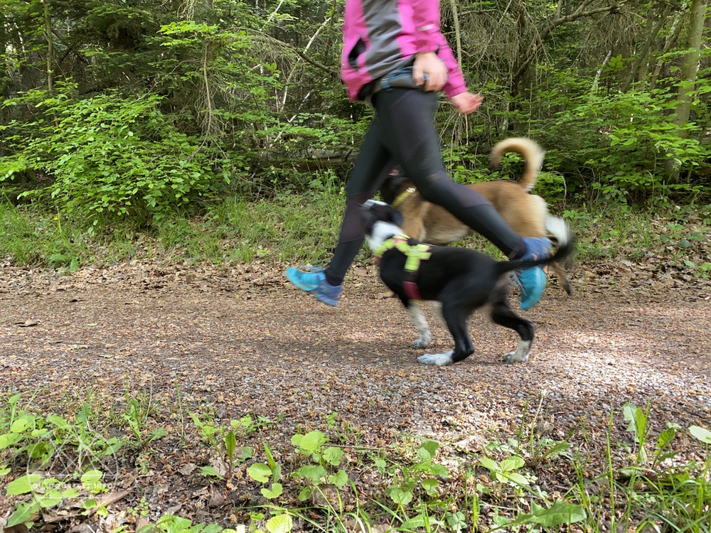 INOV-8 RocFly G 350 GTX v2