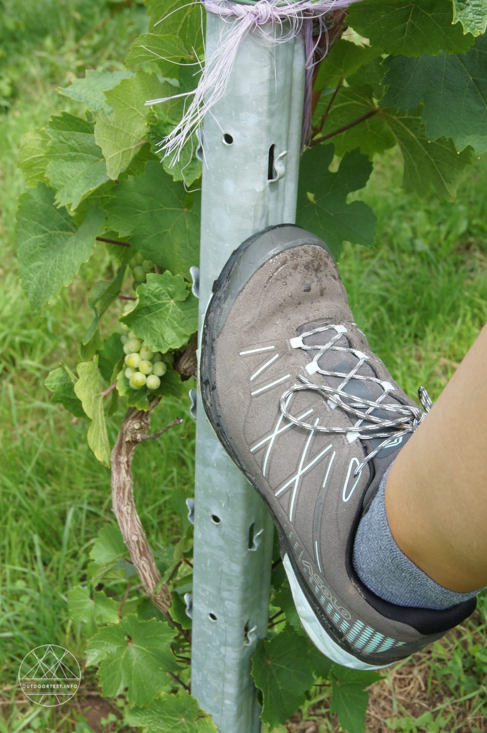 Asolo Tahoe LTH GTX Wanderschuhe