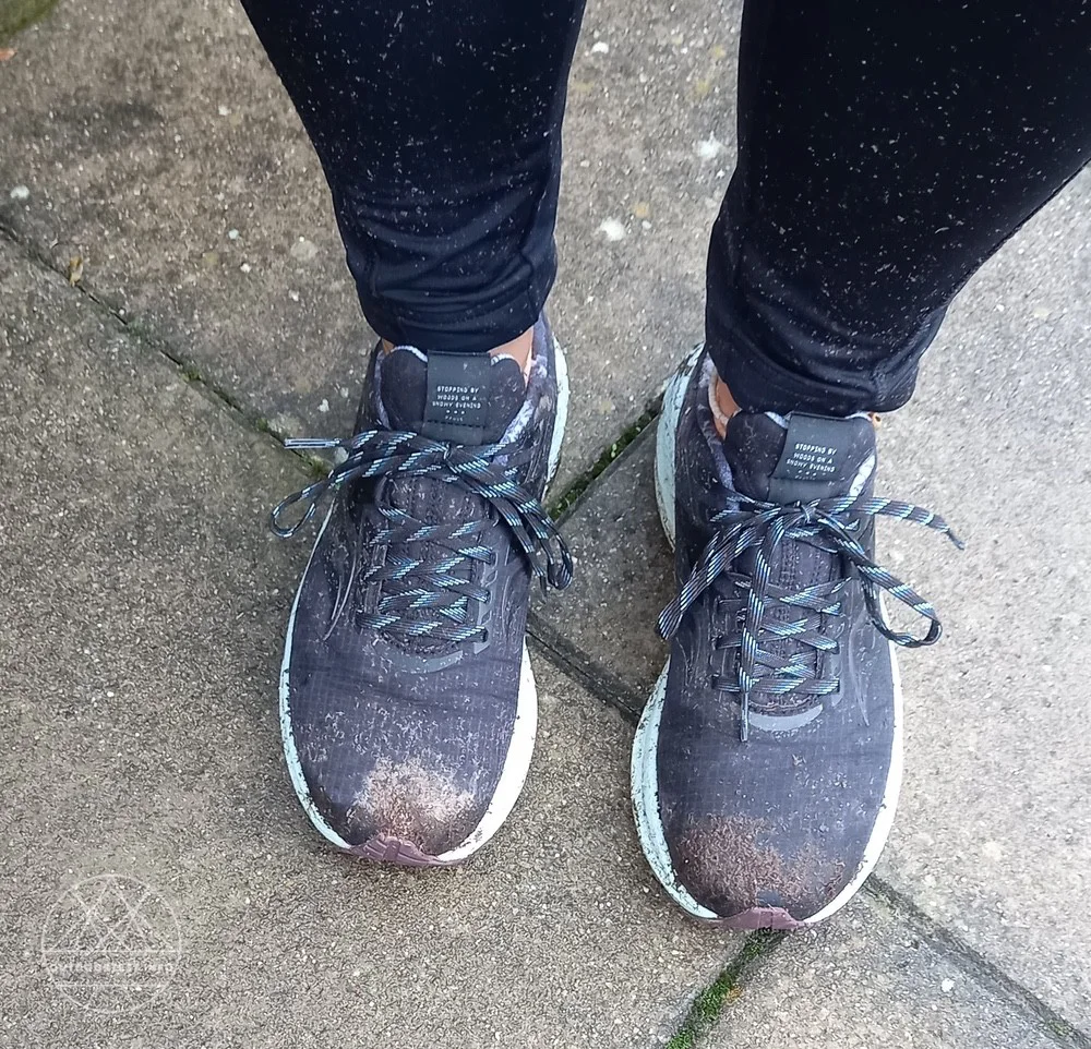 Saucony THRIUMPH 20 Damen Laufschuhe