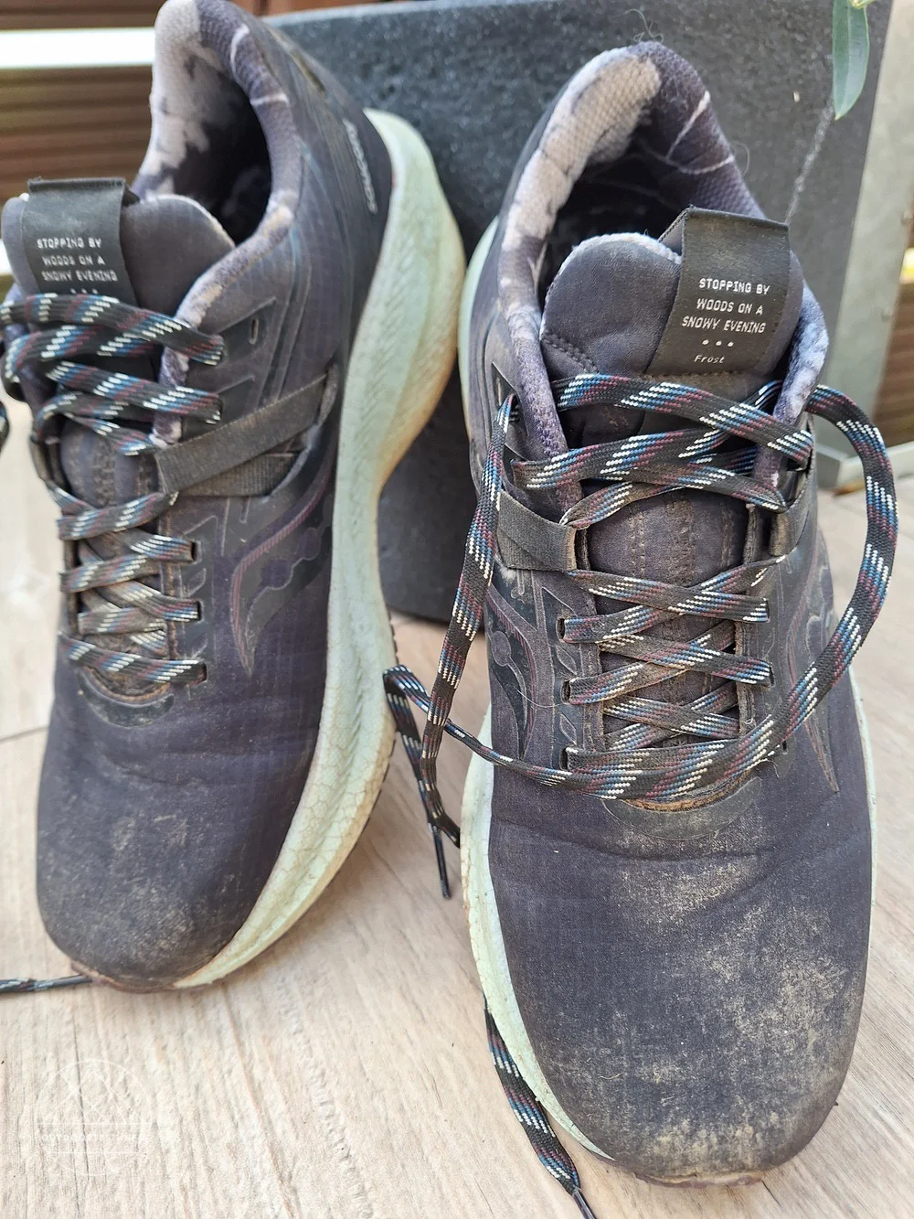 Saucony THRIUMPH 20 Damen Laufschuhe