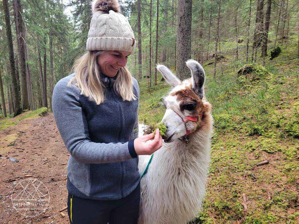 Chillaz Roys Peak Wollstrickjacke