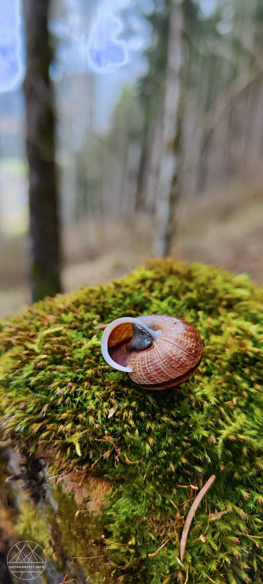 Reisebericht: Hotel Spirodom Admont