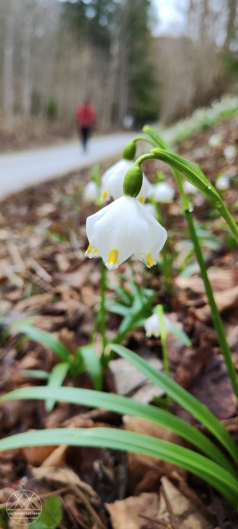 Reisebericht: Hotel Spirodom Admont