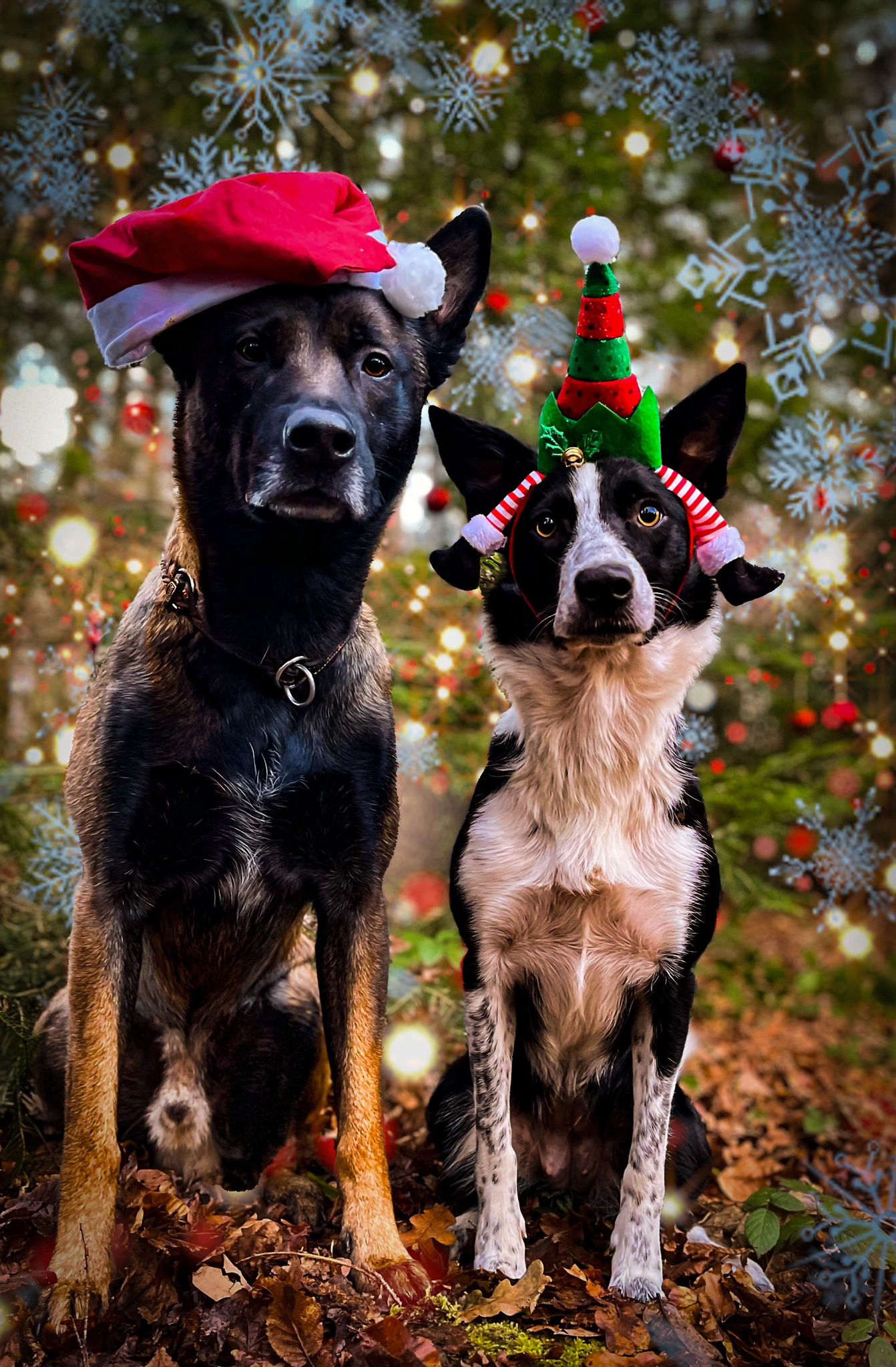 Ein festlicher Weihnachtsgruß von Outdoortest