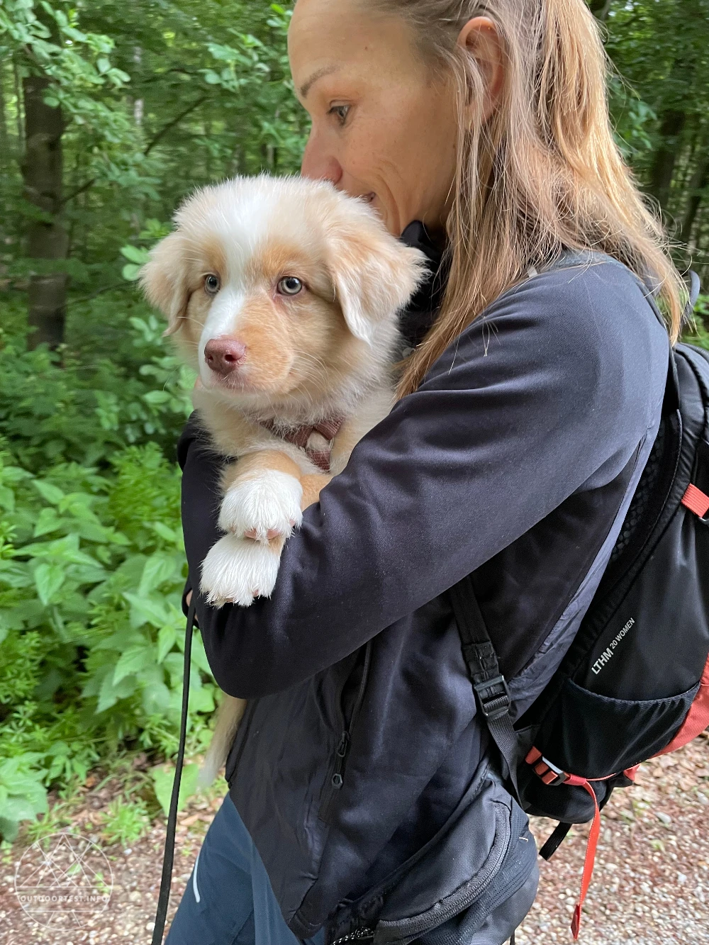 Montane -  Women's Sirocco Lite Hooded Insulated Jacket