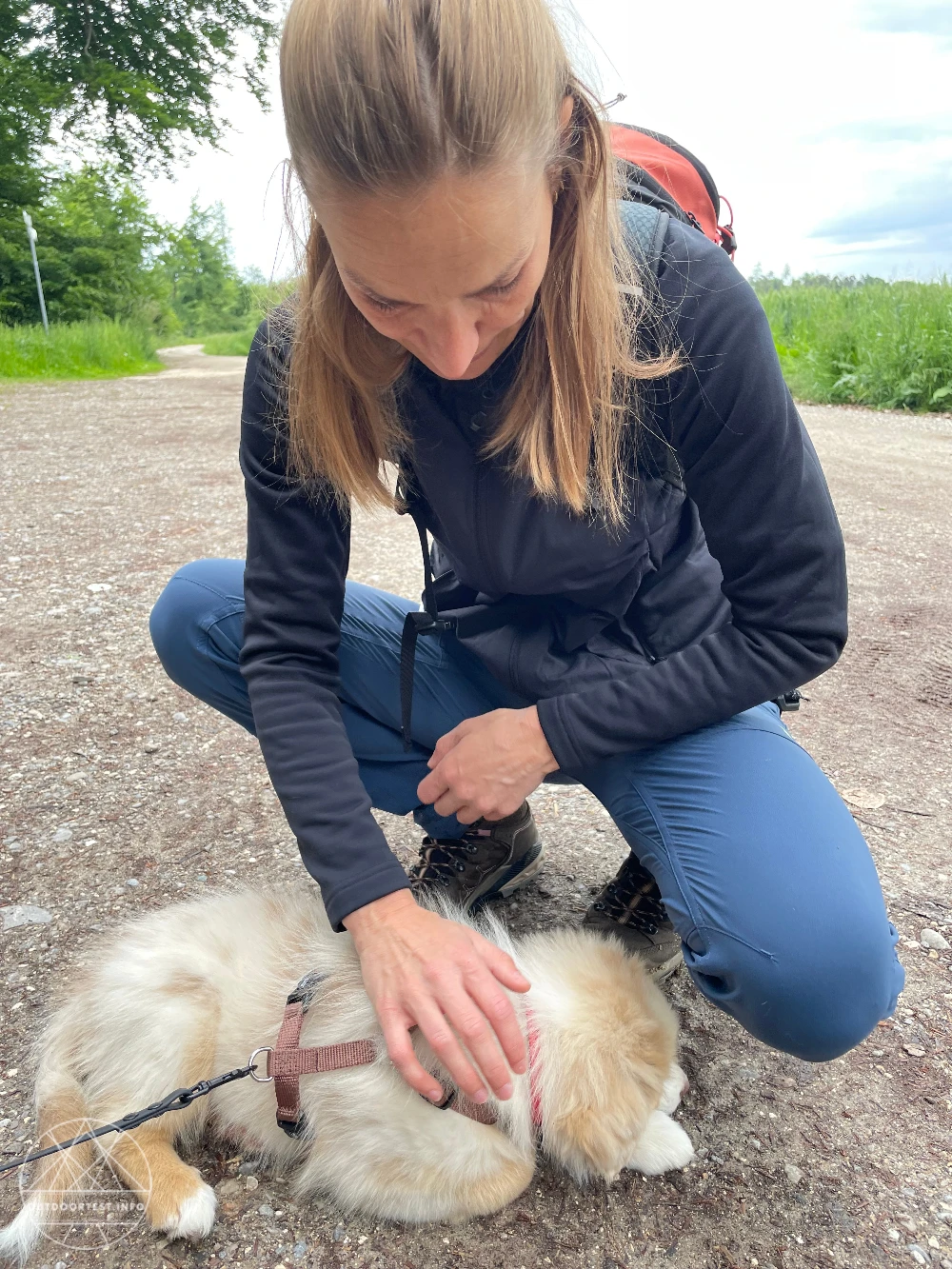 Montane -  Women's Sirocco Lite Hooded Insulated Jacket