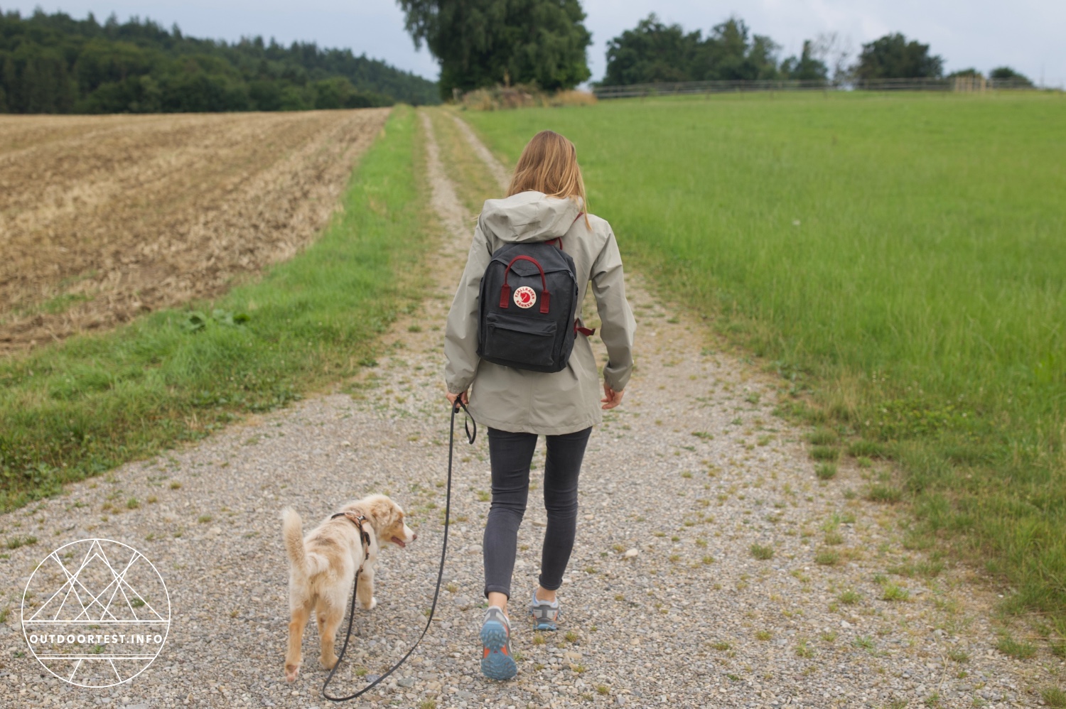 Jack Wolfskin Terraview 2l Parka W