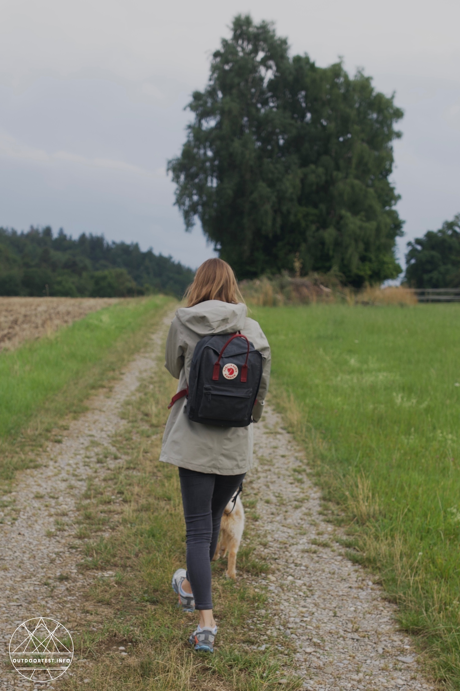 Jack Wolfskin Terraview 2l Parka W