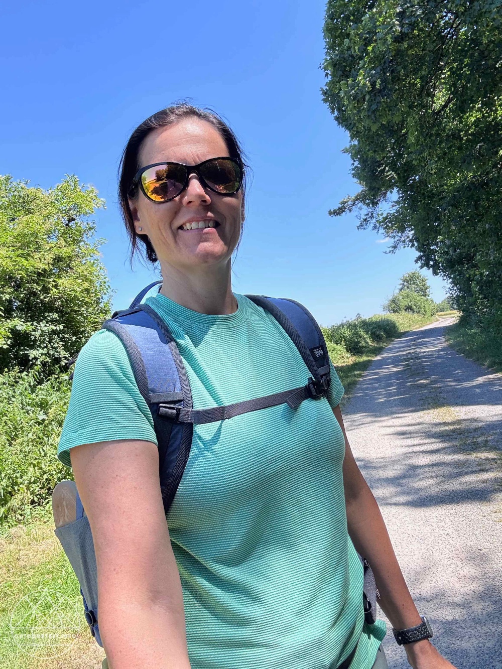 Smartwool - Kurzarmshirt Active Mesh für Damen