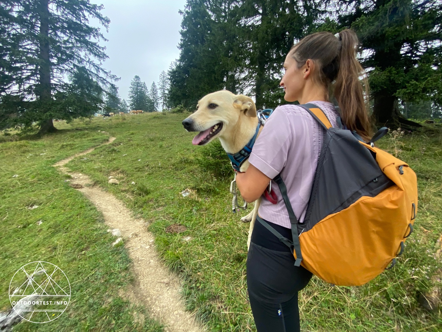 X-Bionic X-ENTIAL Women’s Crop Top