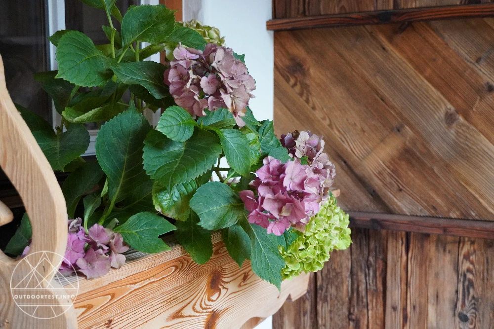 Zwischen Gipfelblick und Kaminfeuer: ein Wochenende im Alpzitt Chaletdorf