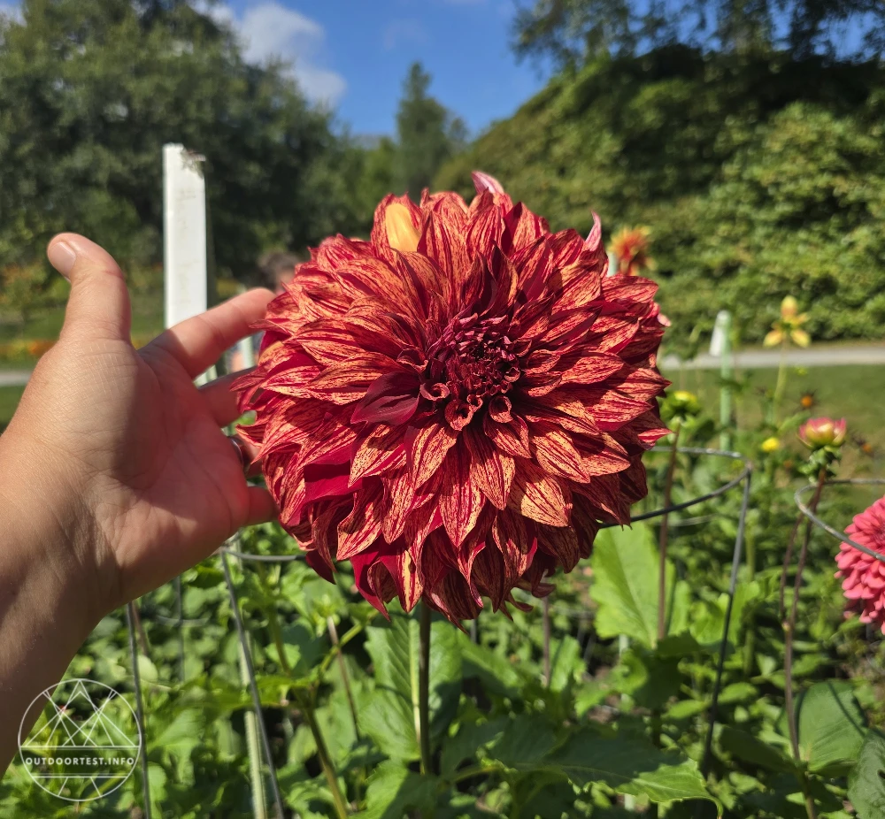 Halifax mit Kindern - entspannte Tage in Kanadas Osten