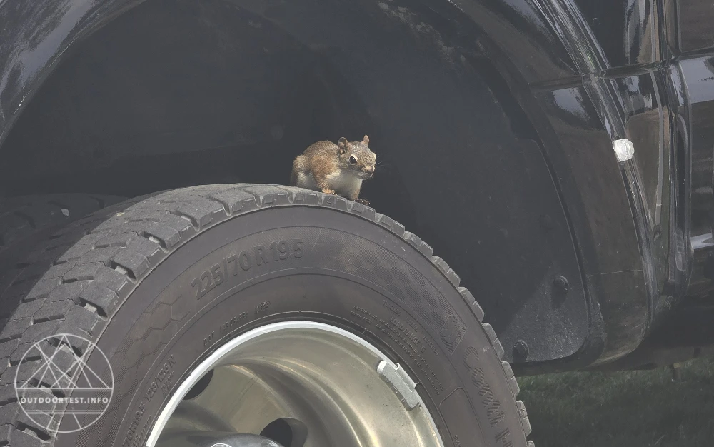Kanada mit Kindern: Rundreise Nova Scotia
