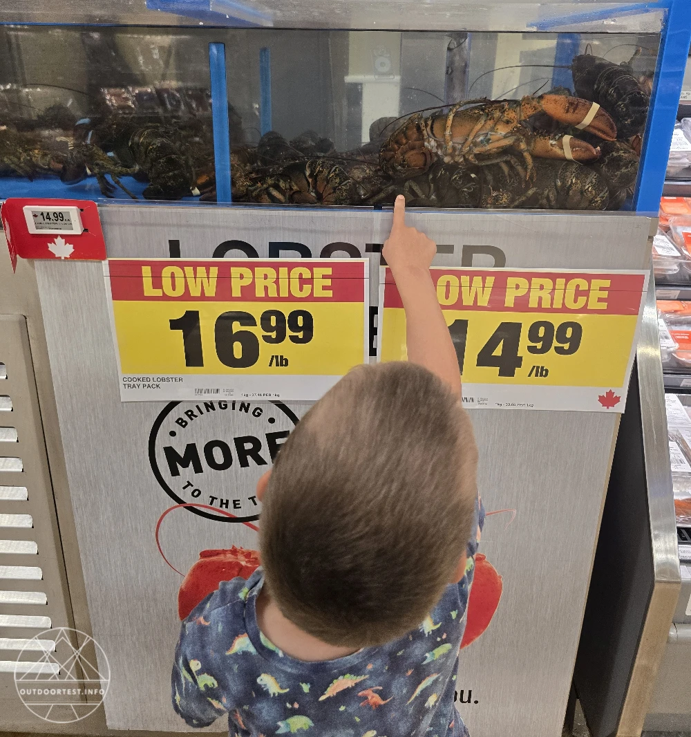 Kanada mit Kindern: Rundreise Nova Scotia